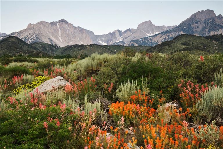 Explore the West ©Danita Delimont /adobestock
